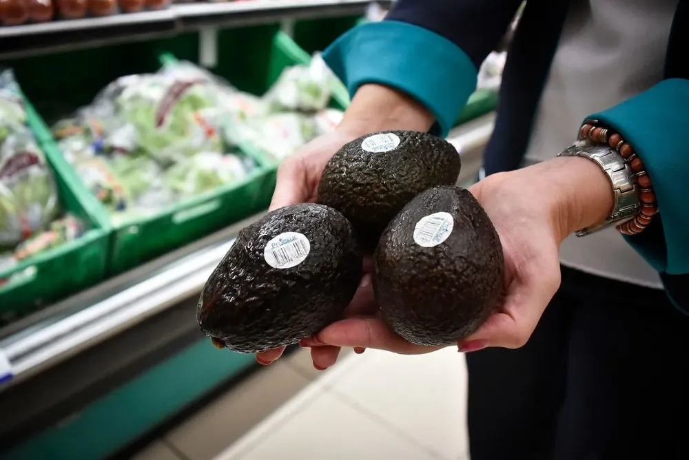 Palta Hass en Tienda Inglesa