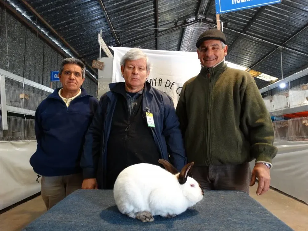 Directivos de Sudec con el mejor ejemplar de la exposición en la Rural del Prado.