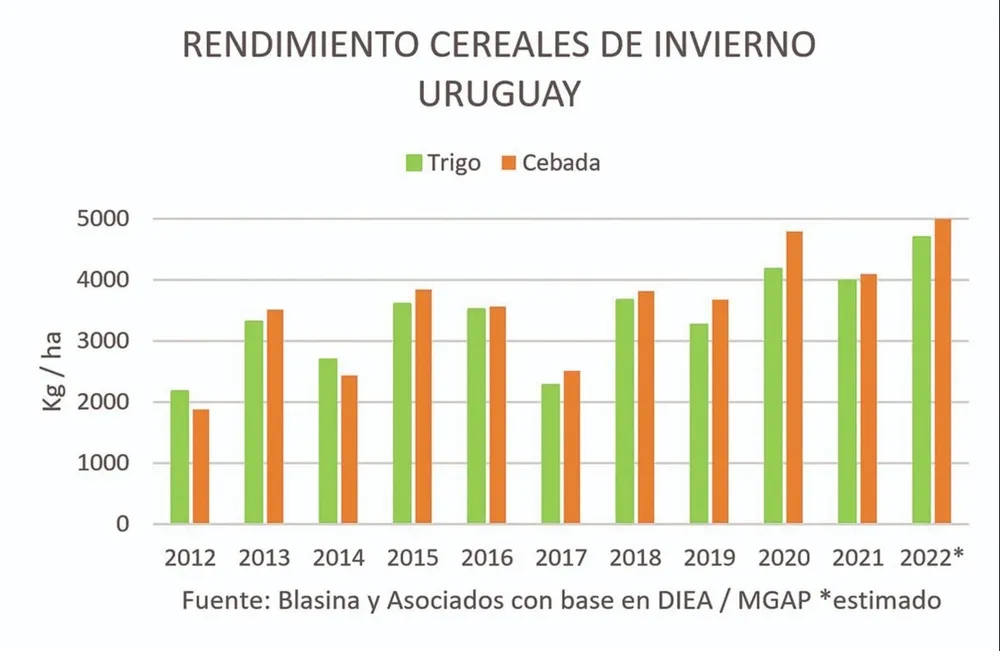 Rendimiento de cereales de invierno en Uruguay.