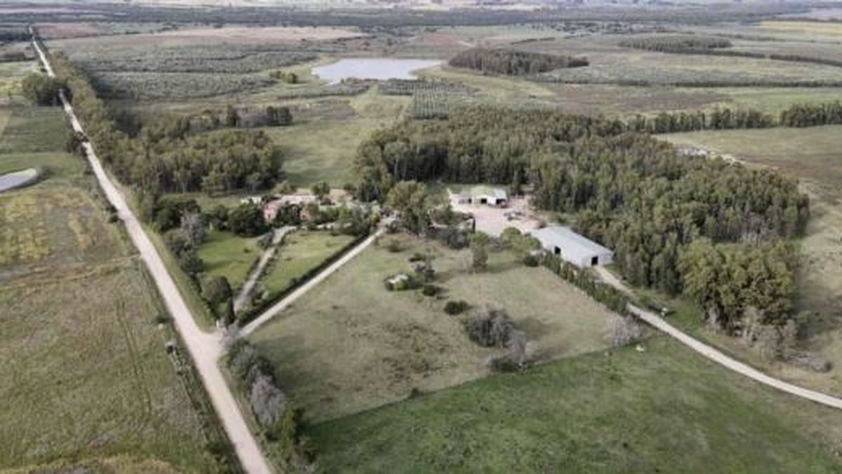 Colonización asegura que compra de estancia en Florida generará ingreso superior a US$ 8 millones por año
