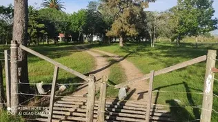 Campo de 226 hectáreas.