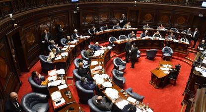 El Observador | 20240514 cámara de senadores