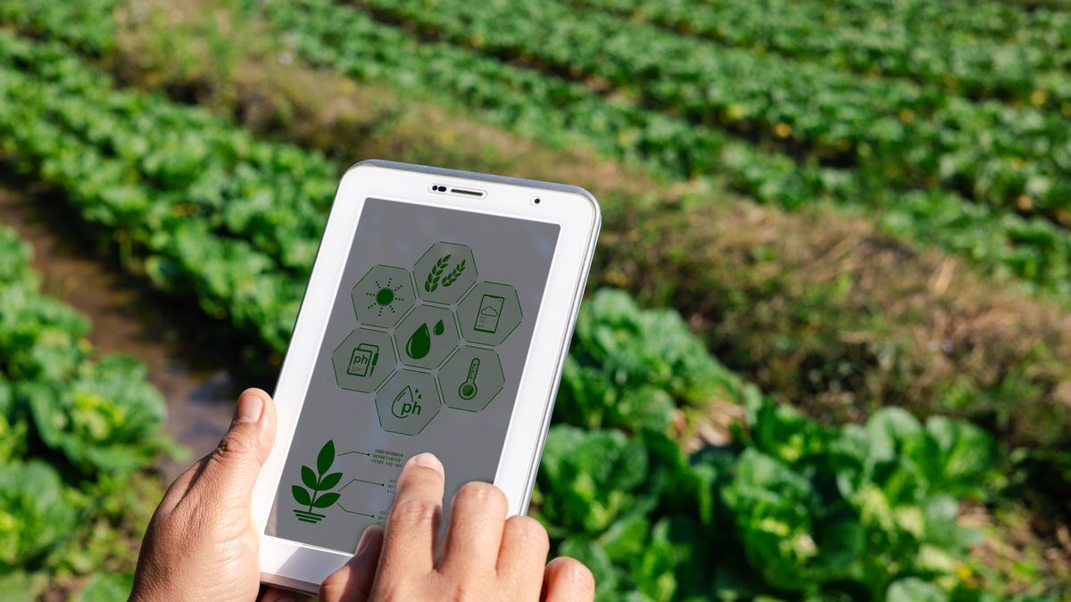 Dos agtechs de Uruguay entre 20 ganadoras de un concurso y participarán en la Semana de la Agricultura Digital
