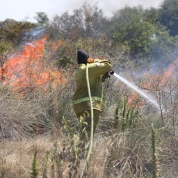 un estudio realizado por el conicet habia advertido hace un ano sobre los incendios en corrientes: eran consecuencia de la sequia
