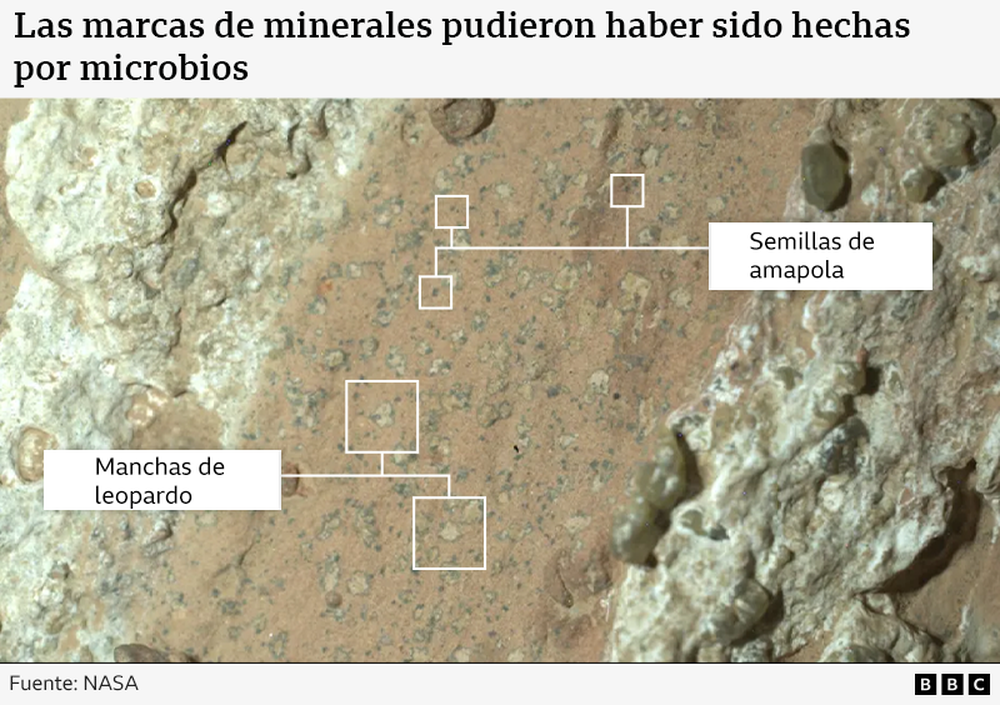 https://www.bbc.com/mundo/articles/cy4j827v9xlo