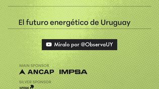 Cómo se prepara Uruguay para la nueva frontera energética: los desafíos de un país que lidera la transición verde
