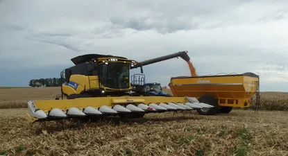 El Observador | 1549662635484.webp