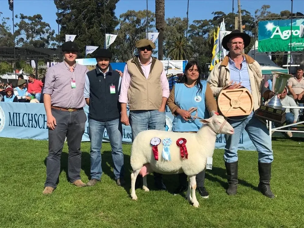 Gran Campeona Frisona Milchsaff P.O.