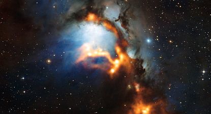 El Observador | 0000345047.jpg