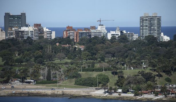 Precio promedio de alquileres fue 7% más caro que el año anterior: ¿qué espera el sector inmobiliario en 2025?