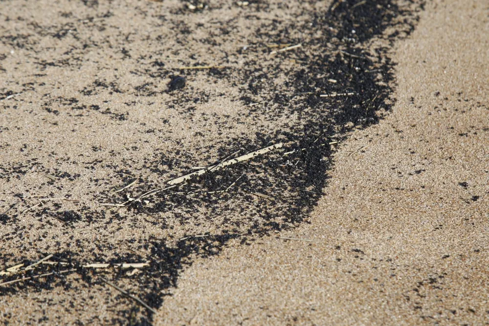 whatsapp-image-2025-08-09-at-125400