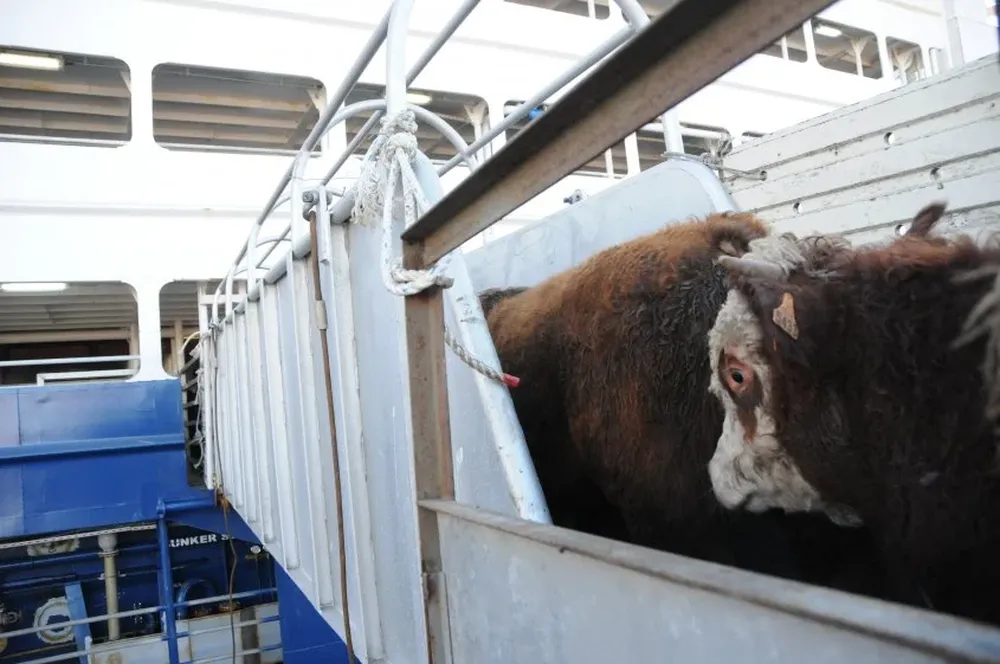 Turquía es el quinto destino de las exportaciones de Uruguay.