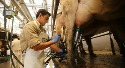 Industria láctea con negociación empantanada por puja salarial