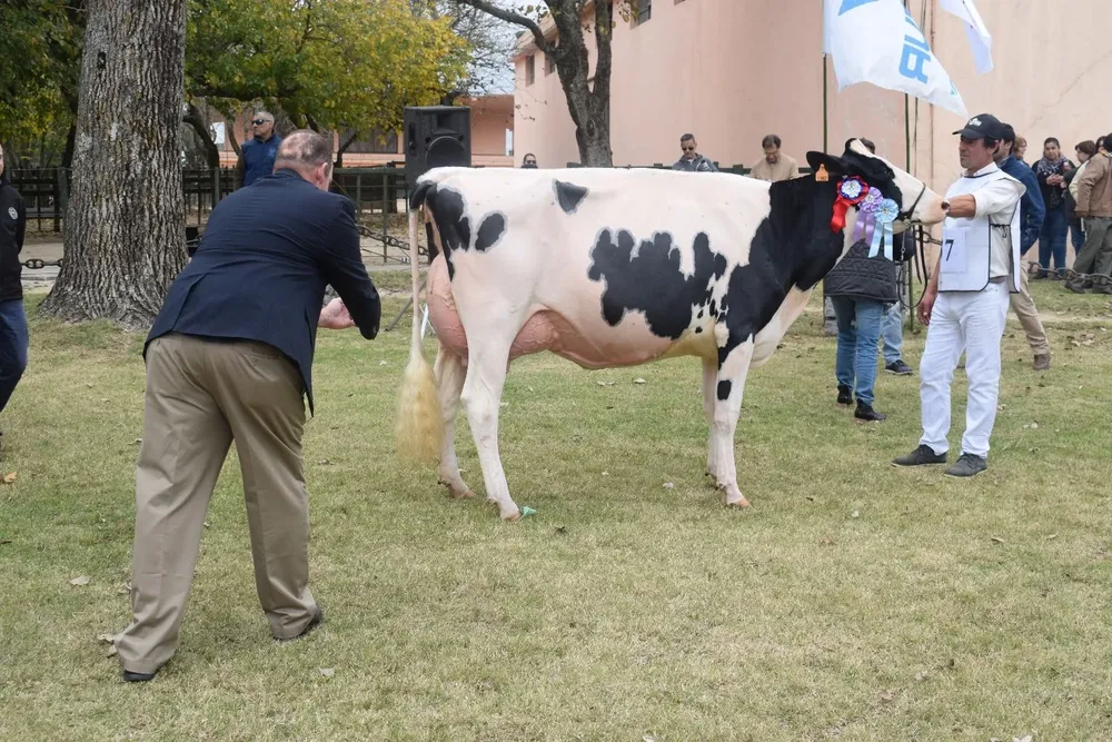 El jurado se llevó la foto de la ubre de la Gran Campeona de pedigrí.