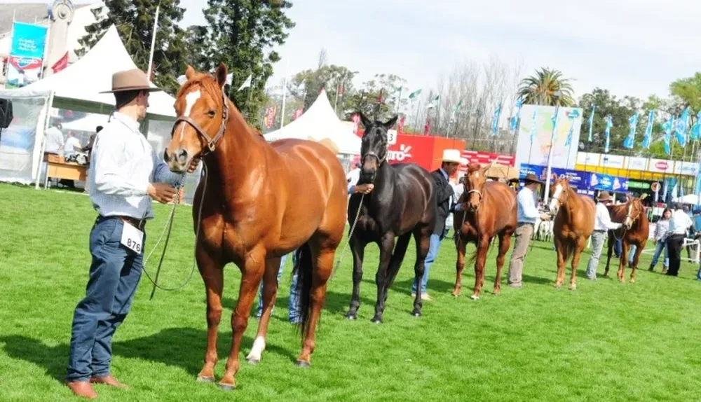 En total se inscribieron 295 equinos para participar en la Expo Prado 2014