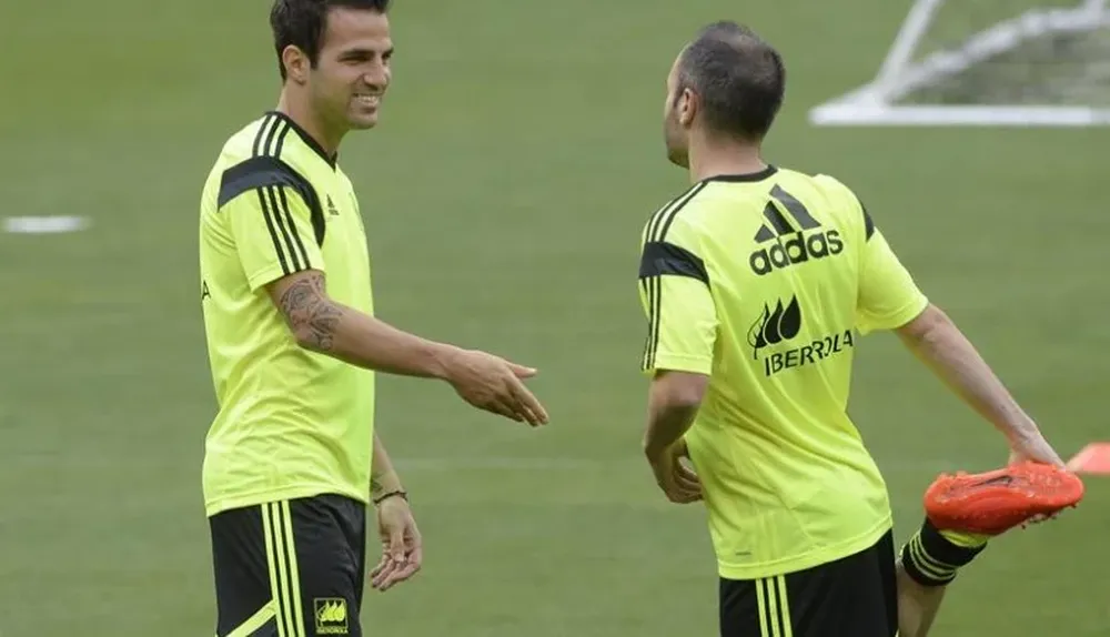 Fabregas e Iniesta