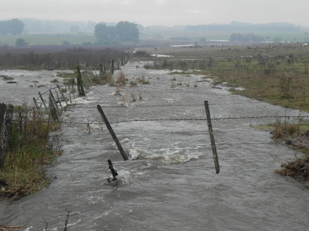 CAS, IICA y Banco Mundial trabajan en un seguro para cuando existan eventos climáticos graves (foto: inundaciones en campos de producción ganadera en Uruguay).