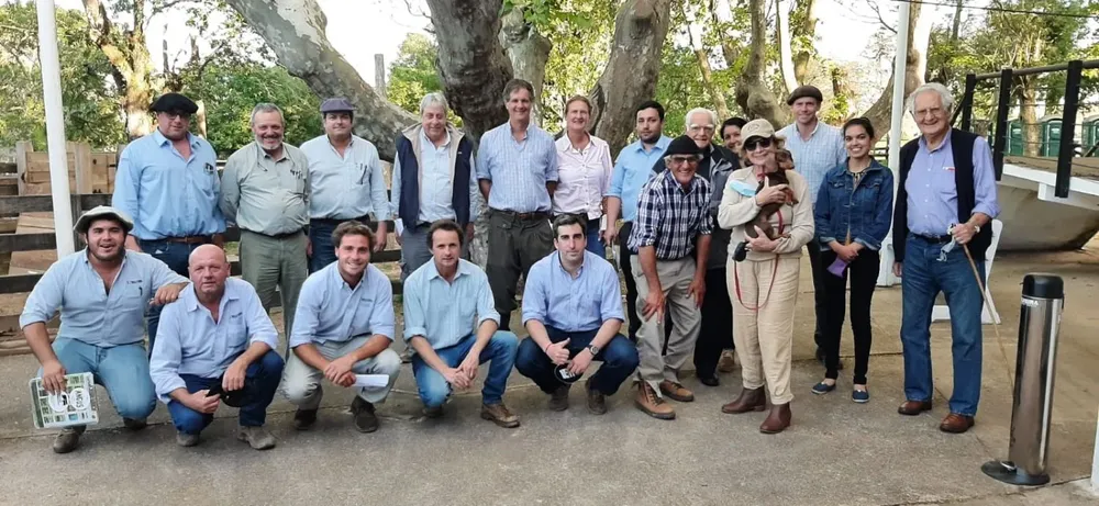 Se colocó toda la oferta Aberdeen Angus.