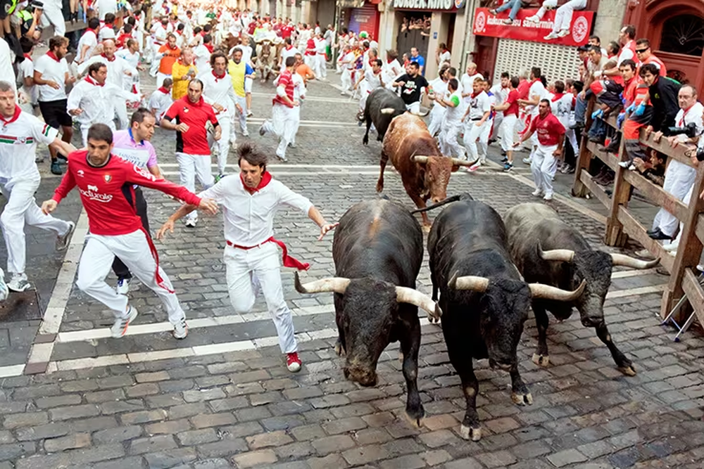 Encierro de toros en San Fermín.