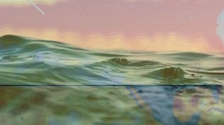 El Súper Niño altera el color del océano Pacífico y amenaza la vida marina