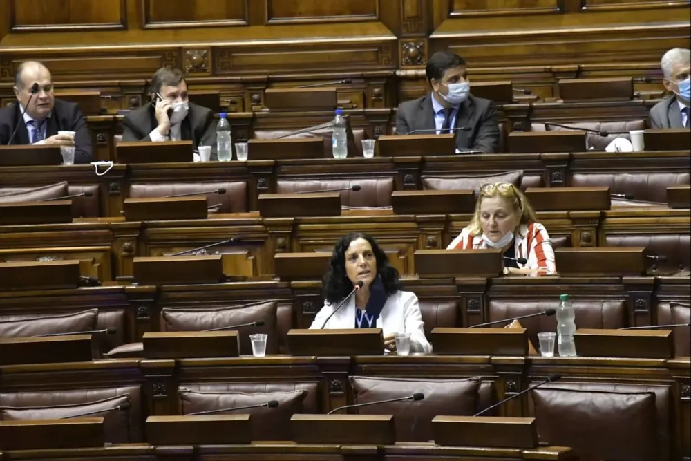 La ministra Arbeleche durante su exposición en la comisión permanente del Parlamento