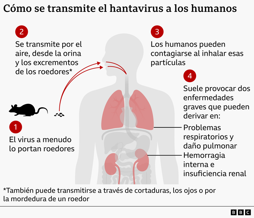 https://www.bbc.com/mundo/articles/czx2n12xj7jo