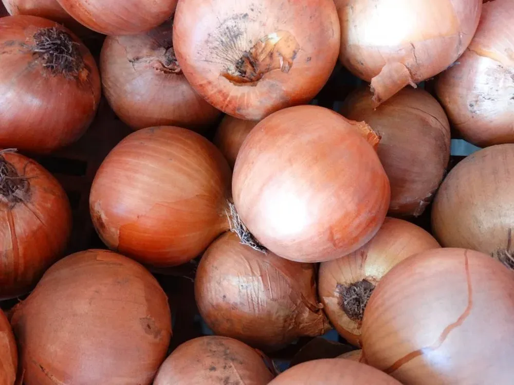 El precio de la cebolla es la mitad del que había hace un año.