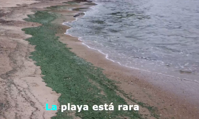 Captura de pantalla del nuevo spot de Martín Lema