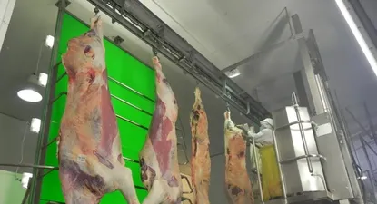 Actividad en el frigorífico BPU.