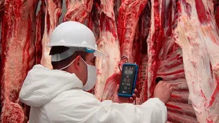 La Unión Europea sigue siendo el mercado que paga los mejores precios