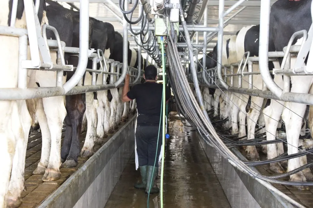 Tamberos de diferentes partes del país se reunieron ante preocupación por la sequía.