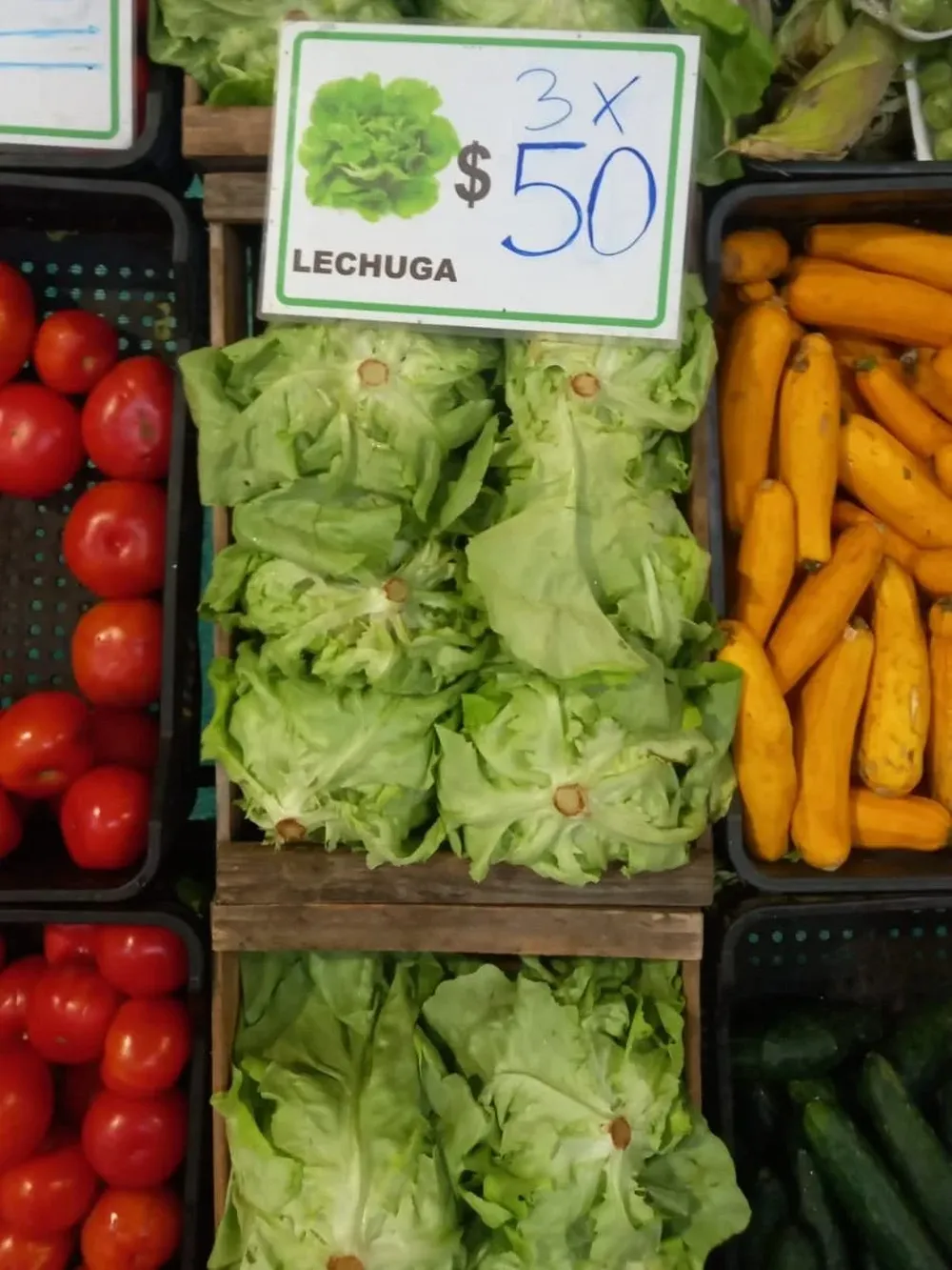 Oferta en el Mercado Polivalente de la UAM.