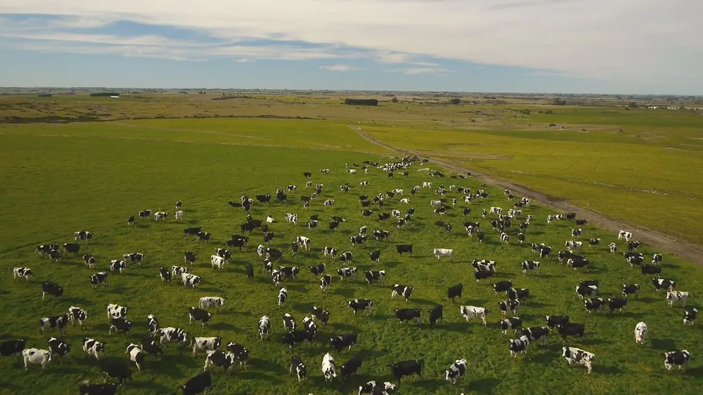 La lechería uruguaya y las nuevas tendencias mundiales