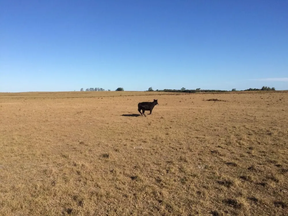 El agro sufrió varios episodios de sequías, como el de la foto de 2018.