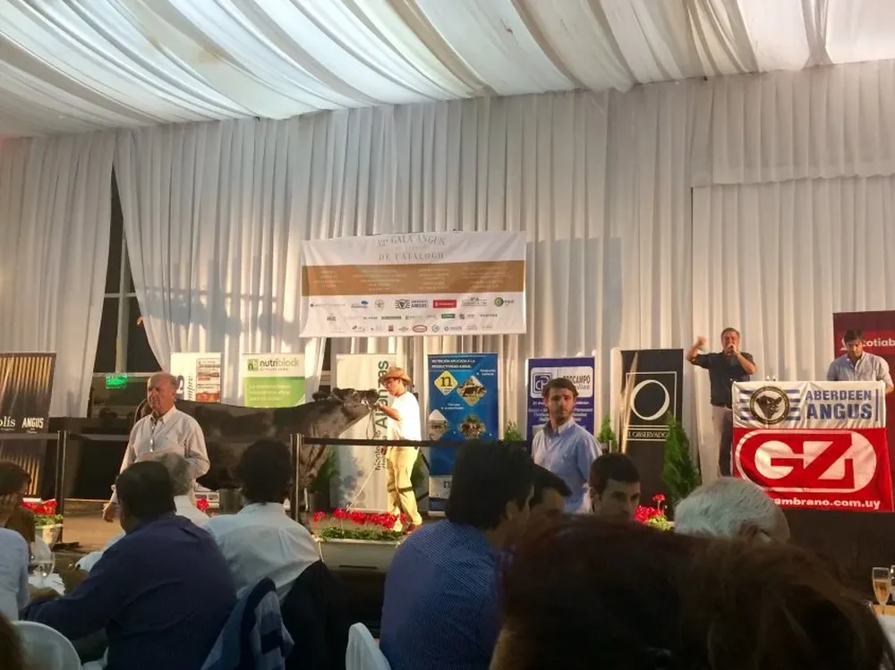 El remate se desarrolló en el hotel Conrad de Punta del Este con el martillo de Zambrano & Cía