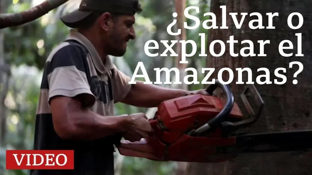 Deslizá hacia abajo para mirar el video