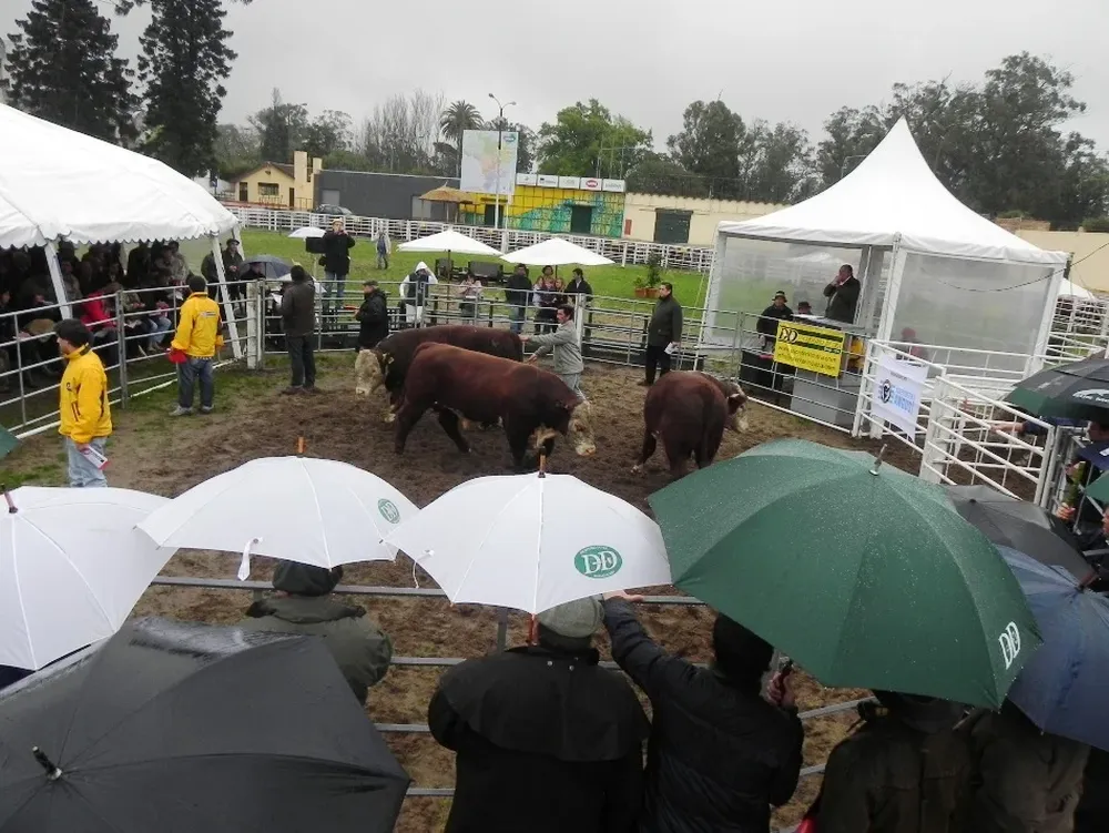 La lluvia no frenó la demanda por la torada