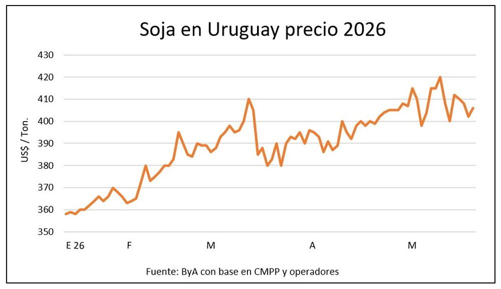 Granos: el precio de la soja está bastante por encima del que había al inicio del año.