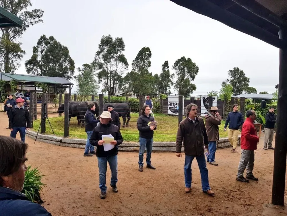 Las ventas estuvieron a cargo de Indarte & Cía, Victorica & Asociados y José De Freitas.