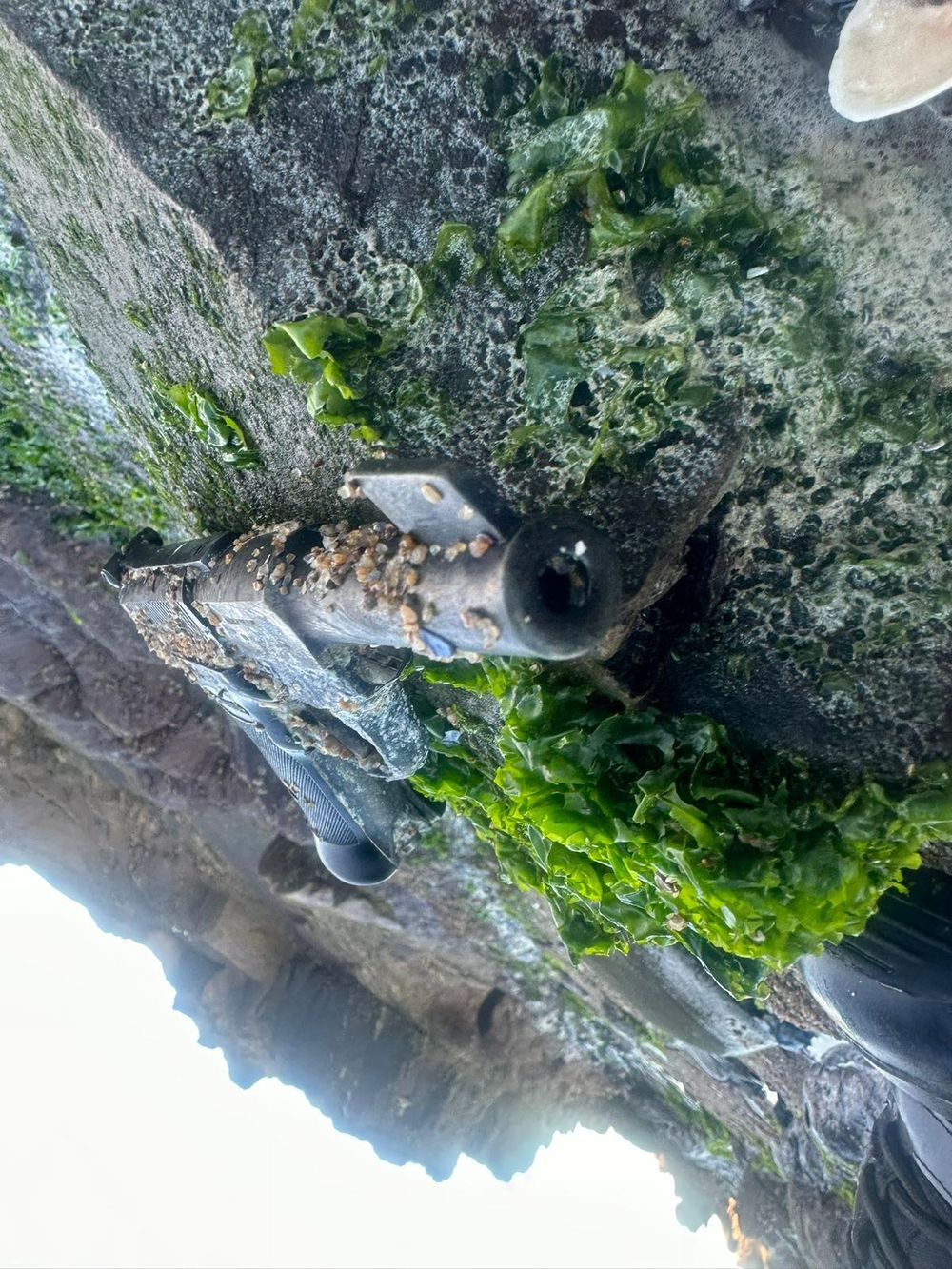 WhatsApp Image 2025-06-12 at 08.59.44.jpeg