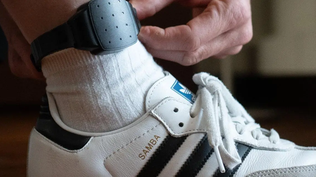 El PP exige explicaciones y dimisión de la ministra de Igualdad por fallos en las pulseras antimaltrato