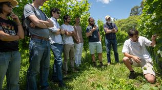 Desde Italia a Canelones: fundaron una bodega y ahora la cuarta generación de la familia creó una plataforma innovadora que enseña a elaborar vino