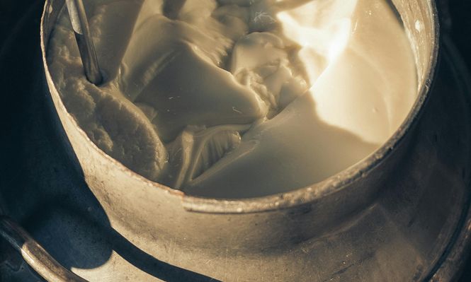 Leche: la remisión sigue mostrando que hay buenas productividades en los tambos.
