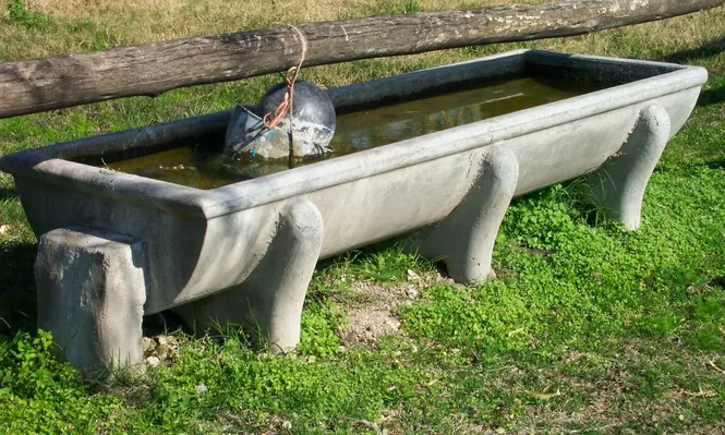 Bebedero para rodeos.