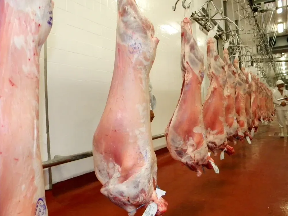 Uruguay también pretende venderle carne ovina con hueso a Europa y EEUU