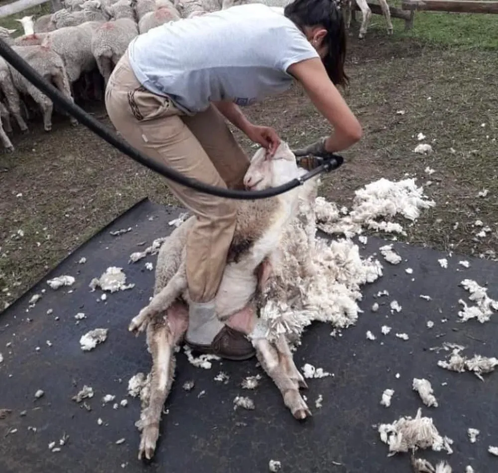 Milagros Rodríguez.