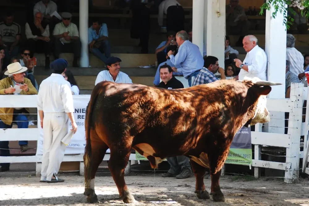 El remate se realizó este sábado en la Rural de Durazno