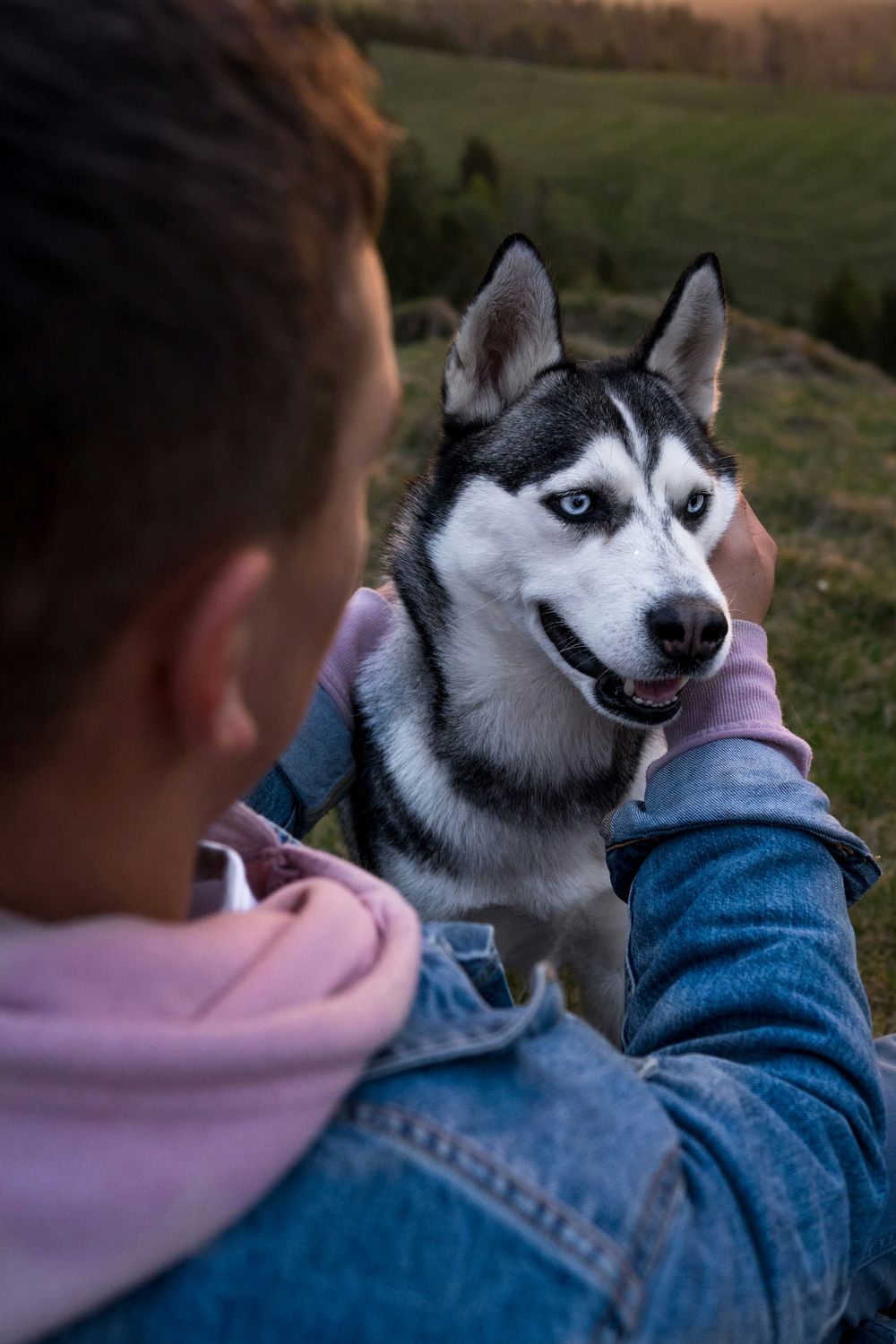 El contagio emocional entre humanos y perros se manifiesta incluso a través del olor, según investigadores.  