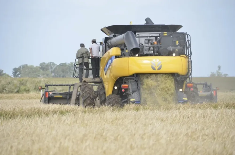 Brasil y Uruguay avanzan en trabajos conjuntos de investigación arrocera