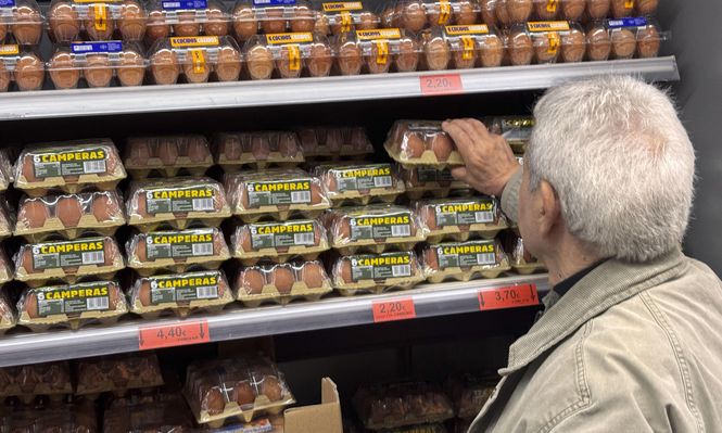 Diez claves sobre la gripe aviar en España: el consumo de huevos, el contagio y las estrategias del Gobierno